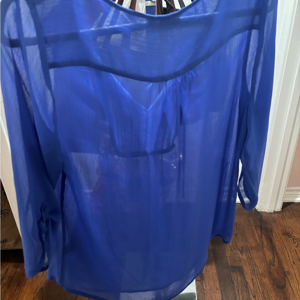 Express Royal Blue Sheer Blouse